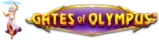 Gates of Olympus Slot Info